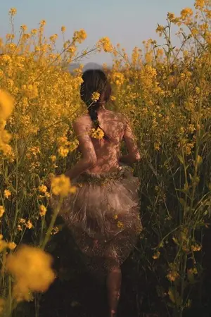 ปกนิยาย ธุลีเสน่หา