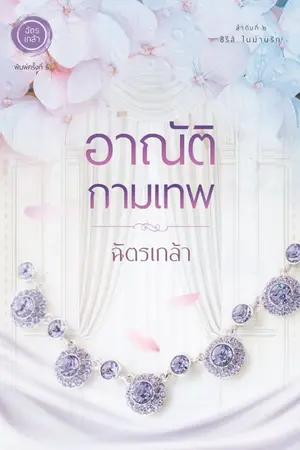 ปกนิยาย