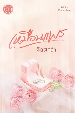 ปกนิยาย