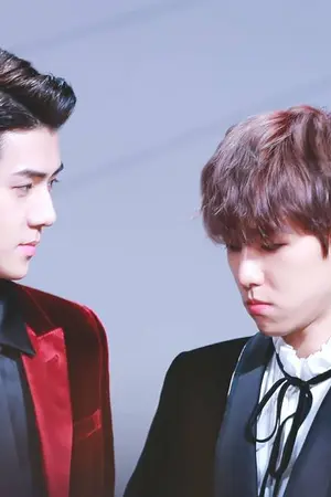 ปกนิยาย OS / SF [HunBaek]