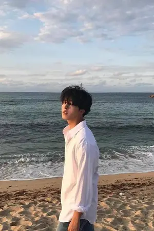 ปกนิยาย Til we meet