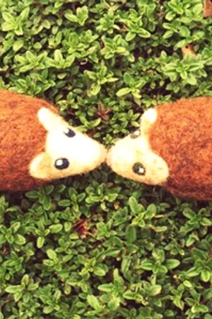 ปกนิยาย NEIGHBOUR ห้ะ?ผมมีสามีเป็นหนุ่มข้างบ้าน {Yaoi}