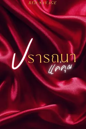 ปกนิยาย ปรารถนาแค่คุณ