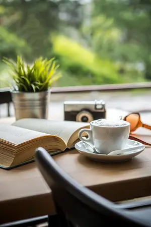 ปกนิยาย พนาห่มรัก