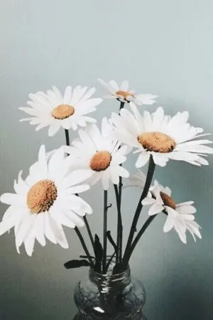 ปกนิยาย [NCT] Yours Unconditionally (JohnYong)