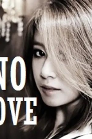 ปกนิยาย NO MORE NO LOVE