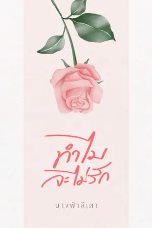 ปกนิยาย ทำไมจะไม่รัก