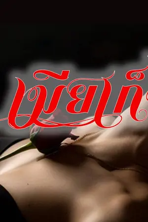 ปกนิยาย เมียเก็บ