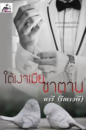 ปกนิยาย