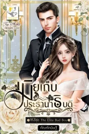 ปกนิยาย เมียเก็บประธานาธิบดี