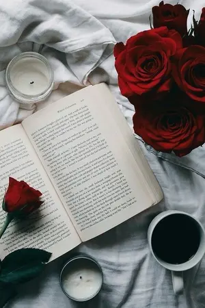 ปกนิยาย ร้ายเล่ห์รัก