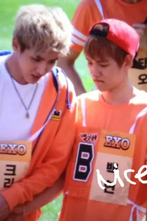 ปกนิยาย หน่องแบค ไดอารี่ |Kris x Baek|