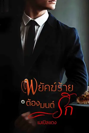 ปกนิยาย