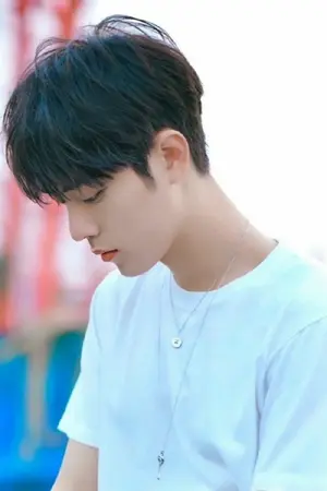 ปกนิยาย คาโมมายล์