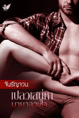 ปกนิยาย