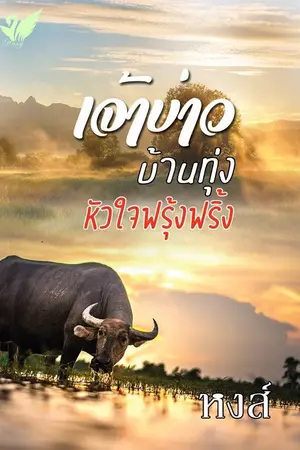 ปกนิยาย