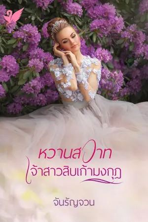 ปกนิยาย