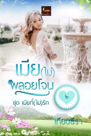 ปกนิยาย