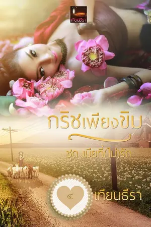 ปกนิยาย