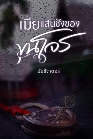 ปกนิยาย เมียแสนชังของขุนโจร