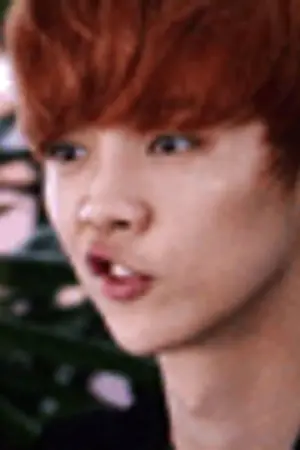 ปกนิยาย Mr. WHO [ exo | BAEKDO . LUMIN ]