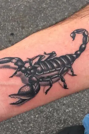 ปกนิยาย The Scorpion รักอันตรายเจ้าชายแมงป่อง