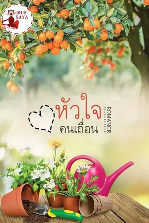 ปกนิยาย