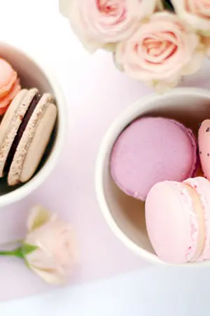 ปกนิยาย บันทึกการอ่าน