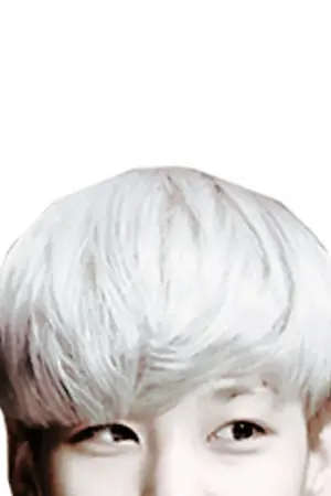 ปกนิยาย ▲Aßsolu†e โค้ดเพลง ♫  [รับ req.]