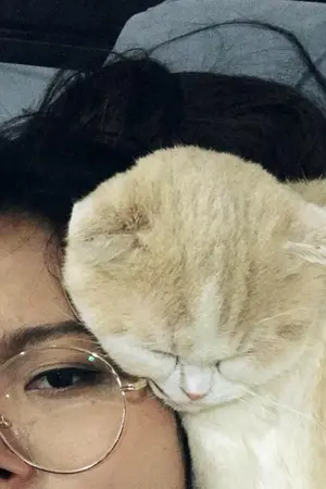 ปกนิยาย ขอแต่งไปเรื่อยๆก่อนเดี๋ยวชื่อเรื่องจะมาเอง