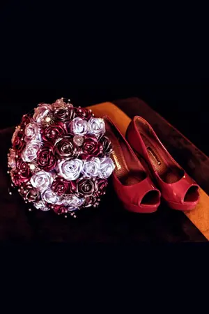 ปกนิยาย Crimson Star (ดาราแดง)