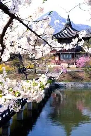 ปกนิยาย ลิขิตรัก [KaiHun KaiDo ChanBaek Ft.Exo] [Yaoi/Mpreg]