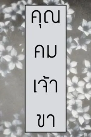 ปกนิยาย