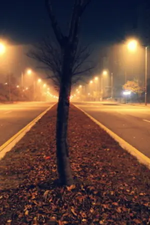 ปกนิยาย [EXO] Say.... [HunHan ft.Kris]