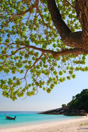 ปกนิยาย ลมทะเล [ํYaoi]