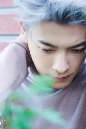 ปกนิยาย [FIC]เมื่อความรักเข้ามาทักทาย [KIHAE] FT. KYUMIN