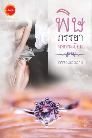 ปกนิยาย พิษภรรยานอกทะเบียน