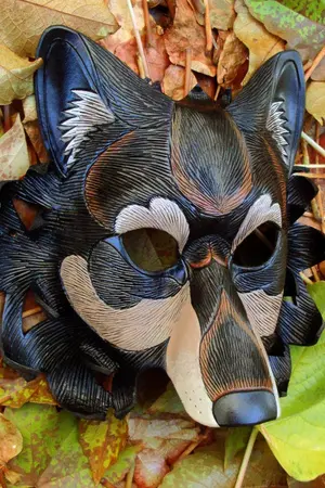 ปกนิยาย Danger Area อันตรายห้ามรักนายหมาป่า