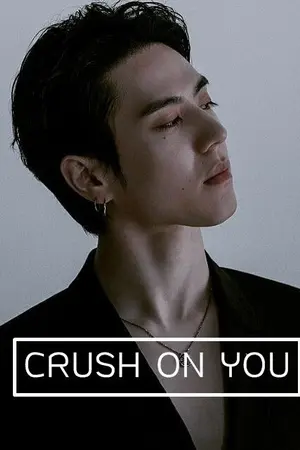 ปกนิยาย CRUSH ON YOU  #เกี้ยวพายุ