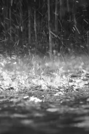 ปกนิยาย rainy