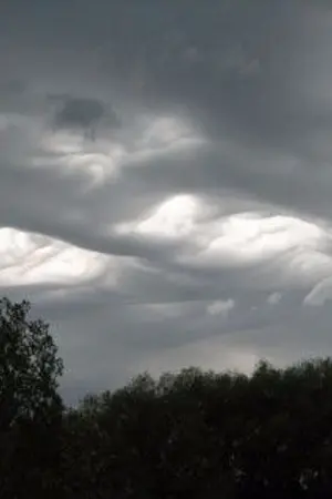 ปกนิยาย [Fic BNMboys] SIN