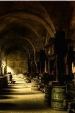 ปกนิยาย อาถรรพ์ห้องใต้ดิน