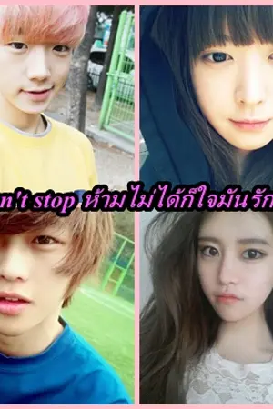 ปกนิยาย I can't stop ห้ามไม่ได้ก็ใจมันรักเธอ