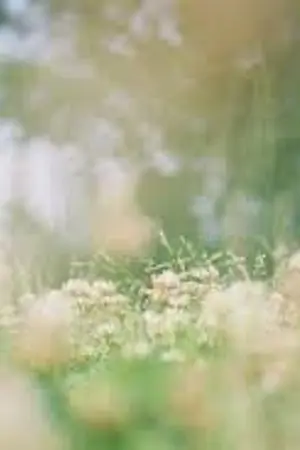 ปกนิยาย sf / os {BTS}