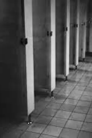 ปกนิยาย ความลับของห้องน้ำหญิง