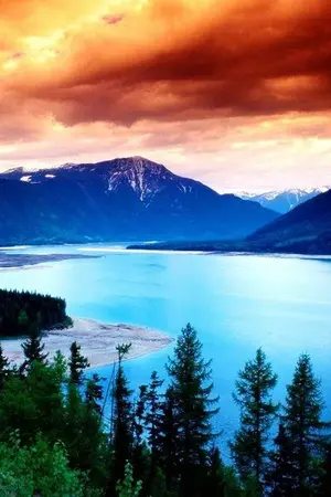 ปกนิยาย The Red ล้างแค้น กระสุนสีแดง