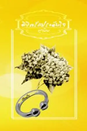 ปกนิยาย ลิขิตรักประดับใจ