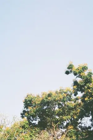 ปกนิยาย Yaoi｜ในฟิล์มหนึ่งม้วน °