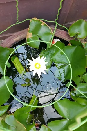 ปกนิยาย หน่วยผนึกปีศาจ