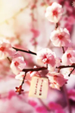 ปกนิยาย เหลาสุราของเสวี่ยอวี้ถาน [คลังเก็บของ]